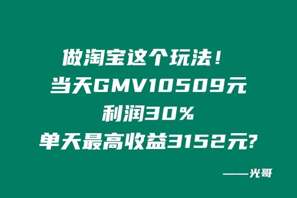 图片[2]-做淘宝这个玩法！当天GMV10509元，利润30%，单天最高收益3152元。-光哥