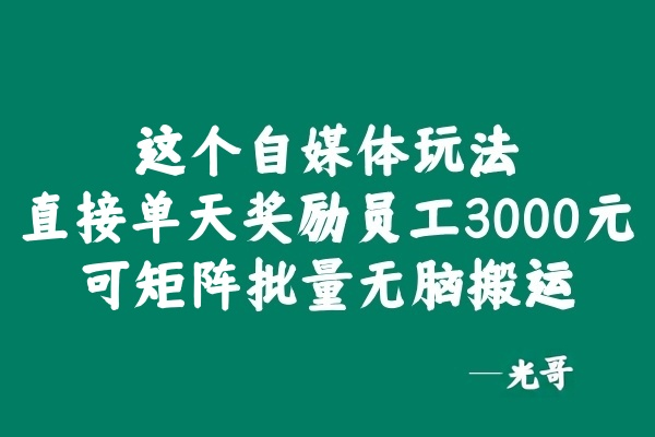 图片[2]-‘这个自媒体玩法，直接单天奖每个员工3000元，红利期间可矩阵批量放大?-光哥