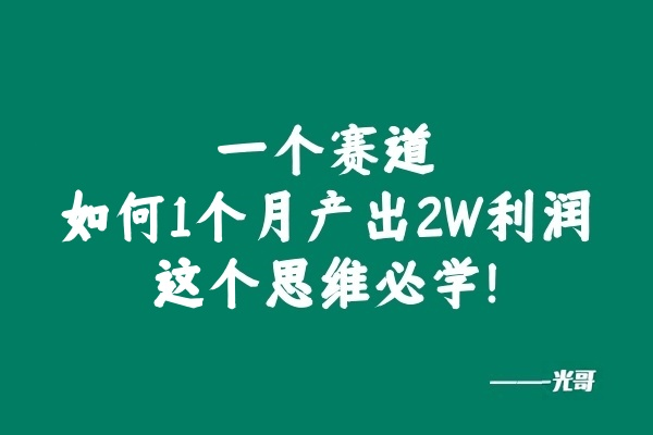 图片[2]-光哥：一个赛道如何1个月产出2W利润？这个思维必学！-光哥